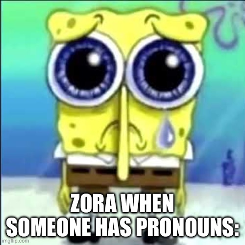 Womp womp get over it we all have pronouns | ZORA WHEN SOMEONE HAS PRONOUNS: | image tagged in sad spongebob | made w/ Imgflip meme maker