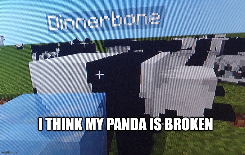 I think my panda is broken | I THINK MY PANDA IS BROKEN | image tagged in minecraft,mincraft panda,memme,morsom,dinnerbone | made w/ Imgflip meme maker