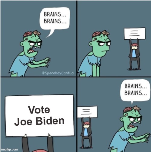 Let's Go Brandon | Vote Joe Biden | image tagged in memes,election,democrats,vote,joe biden,brains | made w/ Imgflip meme maker