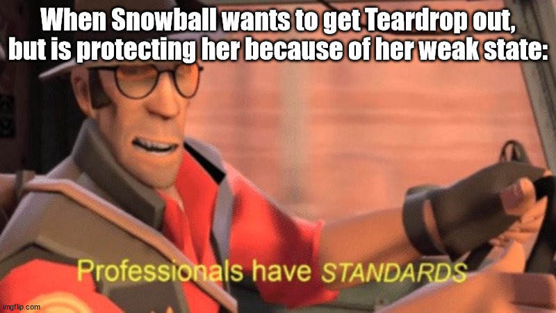 Context: TPOT 8 | When Snowball wants to get Teardrop out, but is protecting her because of her weak state: | image tagged in professionals have standards,bfdi,tpot | made w/ Imgflip meme maker
