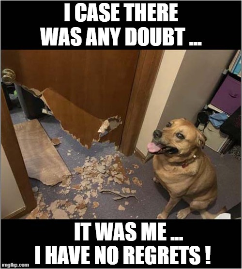 Door Destruction ! | I CASE THERE WAS ANY DOUBT ... IT WAS ME ...
  I HAVE NO REGRETS ! | image tagged in dogs,door,destruction,no regrets | made w/ Imgflip meme maker