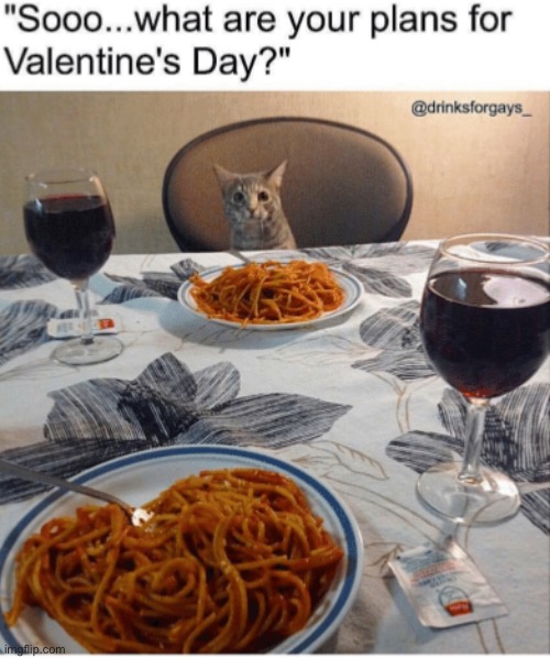 for real | image tagged in funny,meme,cat,valentines day | made w/ Imgflip meme maker