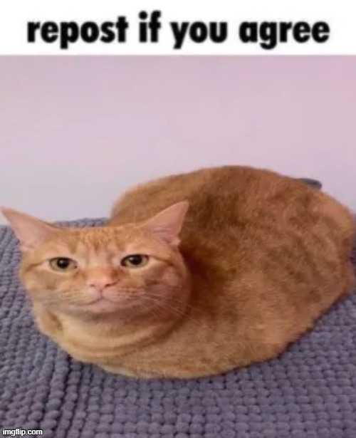 yes | image tagged in repost | made w/ Imgflip meme maker