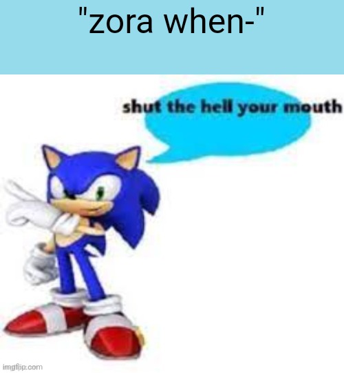 jokes aside actually STOP. | "zora when-" | image tagged in shut the hell your mouth | made w/ Imgflip meme maker
