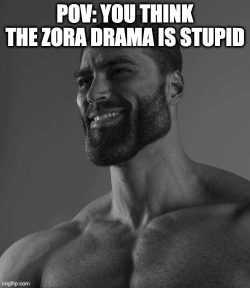 Giga Chad | POV: YOU THINK THE ZORA DRAMA IS STUPID | image tagged in giga chad | made w/ Imgflip meme maker