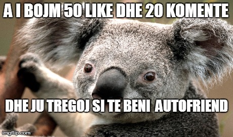 A I BOJM 50 LIKE DHE 20 KOMENTE DHE JU TREGOJ SI TE BENI

AUTOFRIEND | made w/ Imgflip meme maker