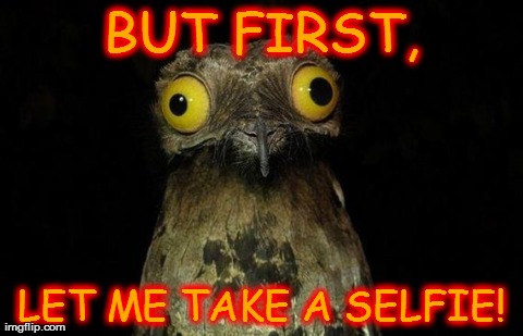 Weird Stuff I Do Potoo Meme | BUT FIRST, LET ME TAKE A SELFIE! | image tagged in memes,weird stuff i do potoo | made w/ Imgflip meme maker