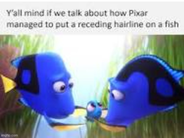 hahahahahahahahah (I just read all the rules and I'm believe this meme agrees with all 27 RULES) | image tagged in darth vader,dark humor,weird,hairless,sigourney weaver,finding nemo seagulls | made w/ Imgflip meme maker