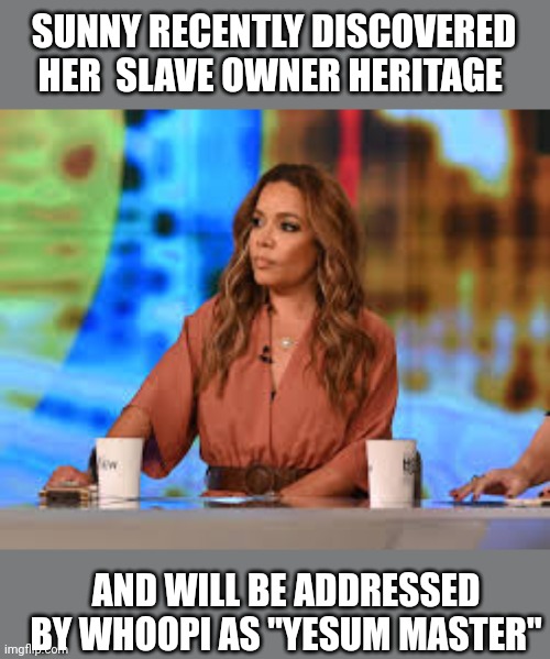 God has a sense of humour | SUNNY RECENTLY DISCOVERED HER  SLAVE OWNER HERITAGE; AND WILL BE ADDRESSED BY WHOOPI AS "YESUM MASTER" | image tagged in sunny hostin | made w/ Imgflip meme maker