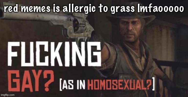 fucking gay as in homosexual? | red memes is allergic to grass lmfaooooo | image tagged in fucking gay as in homosexual | made w/ Imgflip meme maker