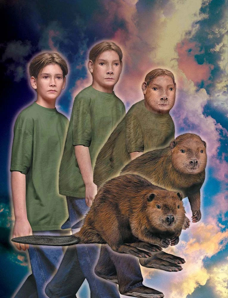 Animorph Beaver Blank Meme Template