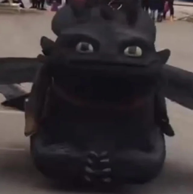 High Quality Toothless doesn’t care Blank Meme Template
