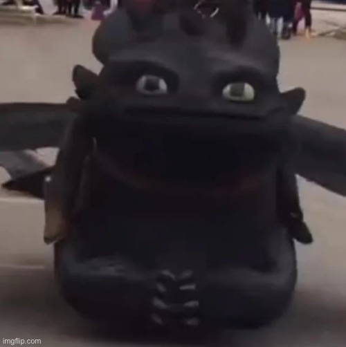 Toothless asking a question Blank Meme Template