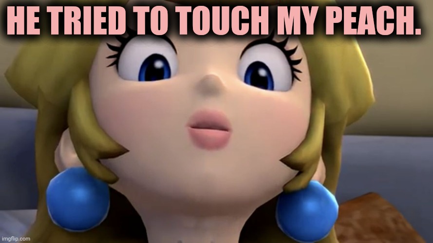 Princess Peach be like | HE TRIED TO TOUCH MY PEACH. | image tagged in princess peach be like | made w/ Imgflip meme maker