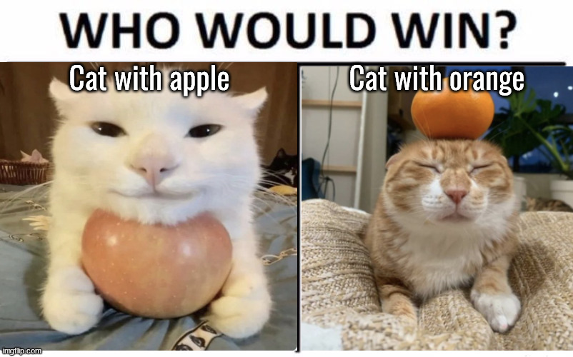 Who Would Win? Meme | Cat with apple; Cat with orange | image tagged in memes,who would win | made w/ Imgflip meme maker