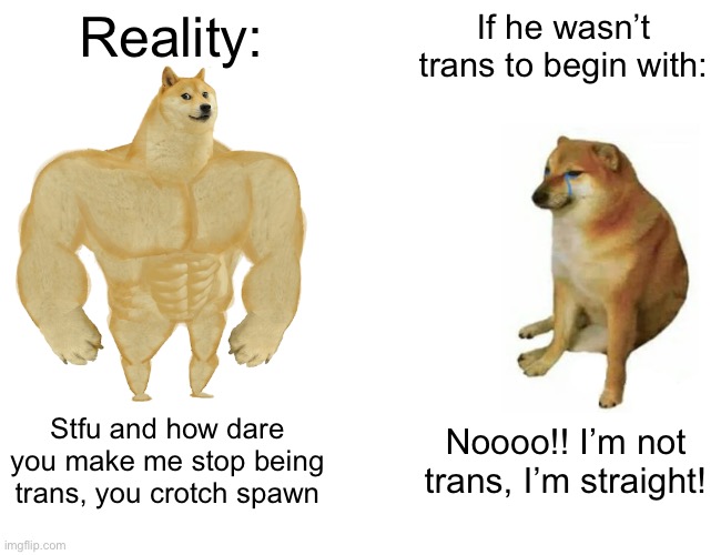 Buff Doge vs. Cheems Meme | Reality: If he wasn’t trans to begin with: Stfu and how dare you make me stop being trans, you crotch spawn Noooo!! I’m not trans, I’m strai | image tagged in memes,buff doge vs cheems | made w/ Imgflip meme maker