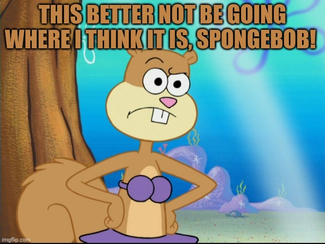 Sandy Cheeks Suspicious | THIS BETTER NOT BE GOING WHERE I THINK IT IS, SPONGEBOB! | image tagged in sandy cheeks suspicious | made w/ Imgflip meme maker