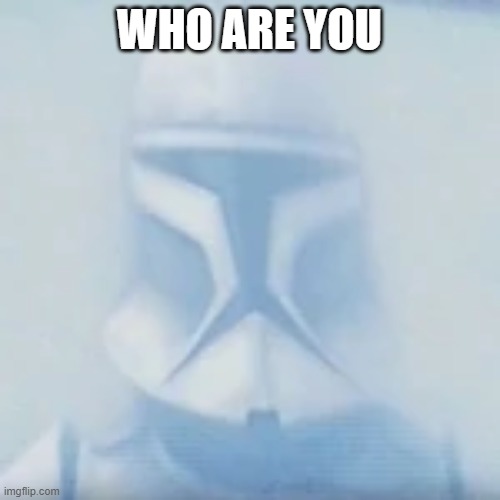 clone trooper | WHO ARE YOU | image tagged in clone trooper | made w/ Imgflip meme maker