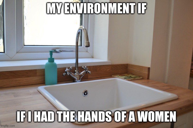 Kitchen Sink | MY ENVIRONMENT IF IF I HAD THE HANDS OF A WOMEN | image tagged in kitchen sink | made w/ Imgflip meme maker