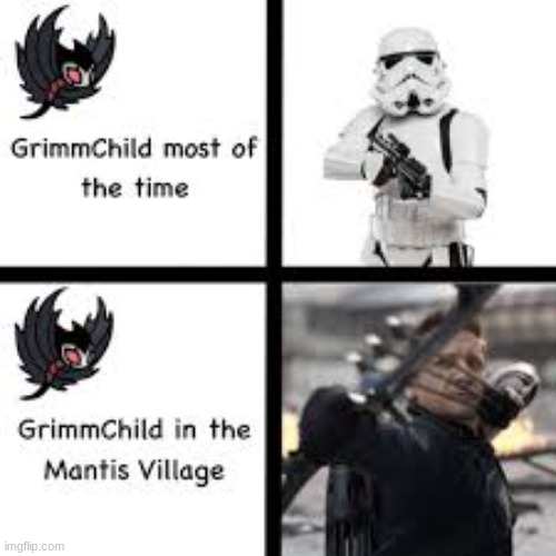 hollow knight | image tagged in hollow knight,grimmchild | made w/ Imgflip meme maker