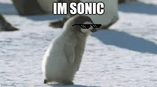 sonic penguin | IM SONIC | image tagged in funny | made w/ Imgflip meme maker
