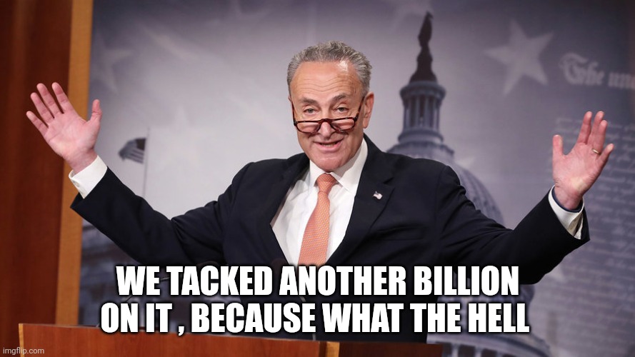 Chuck Schumer | WE TACKED ANOTHER BILLION ON IT , BECAUSE WHAT THE HELL | image tagged in chuck schumer | made w/ Imgflip meme maker