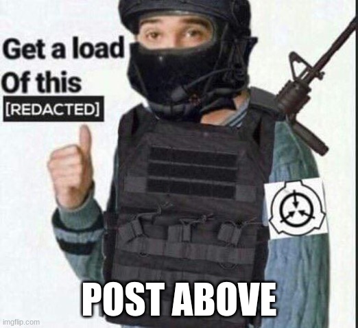 get a load of this [REDACTED] | POST ABOVE | image tagged in get a load of this redacted | made w/ Imgflip meme maker