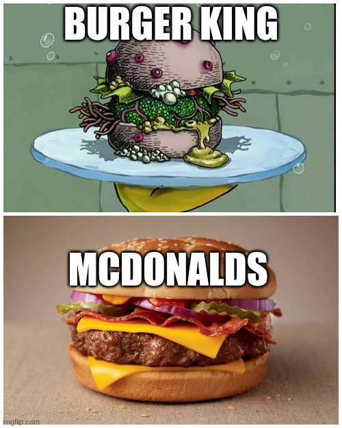 FAST FOODZ | BURGER KING; MCDONALDS | image tagged in burger,mcdonalds,burger king | made w/ Imgflip meme maker