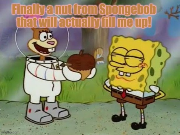 Phrasing! | Finally a nut from Spongebob that will actually fill me up! | image tagged in phrasing,spongebob,sandy cheeks,nuts | made w/ Imgflip meme maker