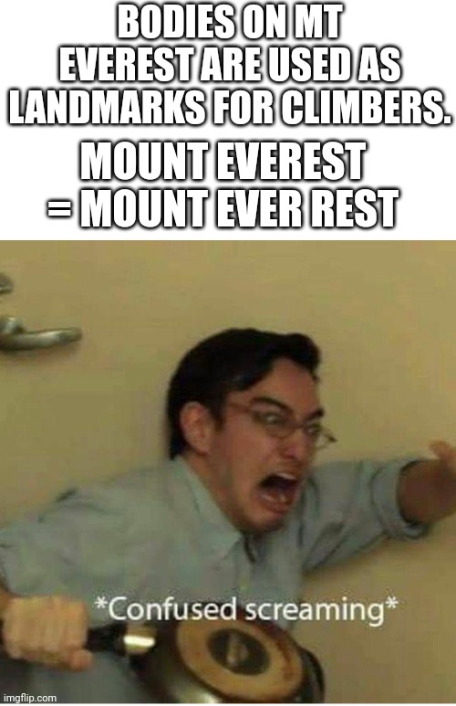 confused screaming | BODIES ON MT EVEREST ARE USED AS LANDMARKS FOR CLIMBERS. MOUNT EVEREST = MOUNT EVER REST | image tagged in confused screaming | made w/ Imgflip meme maker