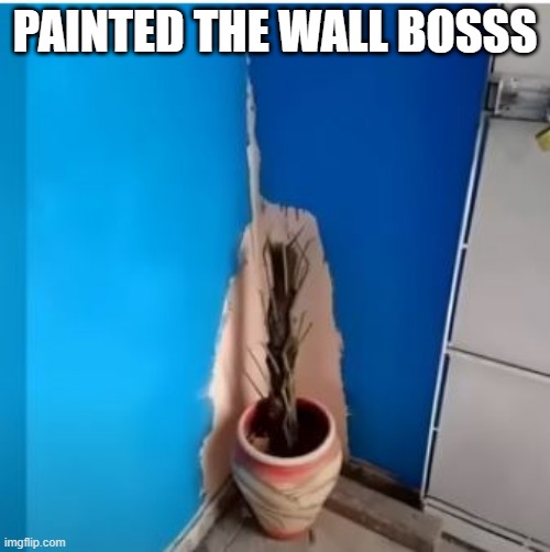 Paint Job | PAINTED THE WALL BOSSS | image tagged in you had one job | made w/ Imgflip meme maker