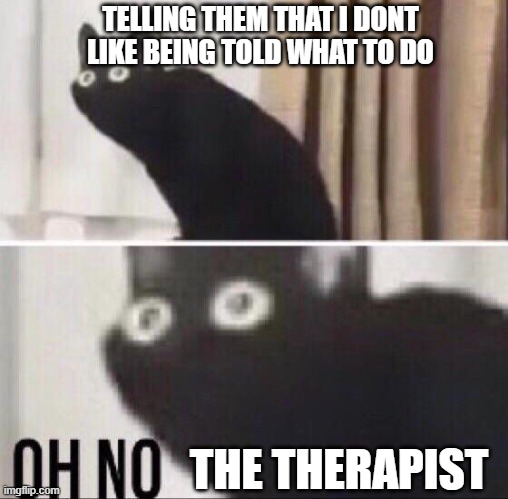 Look Out! | TELLING THEM THAT I DONT LIKE BEING TOLD WHAT TO DO; THE THERAPIST | image tagged in oh no cat | made w/ Imgflip meme maker