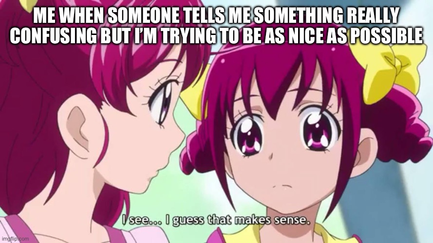 I sEe… I gUeSs ThAt MaKeS sEnSe. | ME WHEN SOMEONE TELLS ME SOMETHING REALLY CONFUSING BUT I’M TRYING TO BE AS NICE AS POSSIBLE | image tagged in precure,smile precure,yes precure 5,me when | made w/ Imgflip meme maker