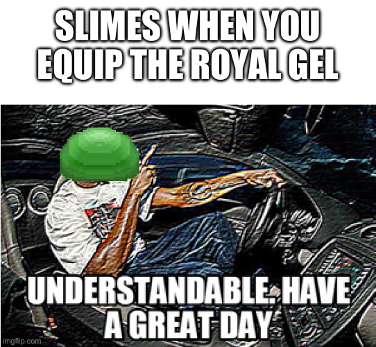UNDERSTANDABLE, HAVE A GREAT DAY | SLIMES WHEN YOU EQUIP THE ROYAL GEL | image tagged in understandable have a great day | made w/ Imgflip meme maker