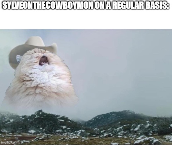 "a" who next | SYLVEONTHECOWBOYMON ON A REGULAR BASIS: | image tagged in screaming cowboy cat | made w/ Imgflip meme maker
