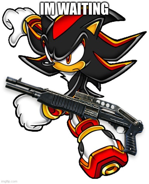 Shadow the hedgehog | IM WAITING | image tagged in shadow the hedgehog | made w/ Imgflip meme maker