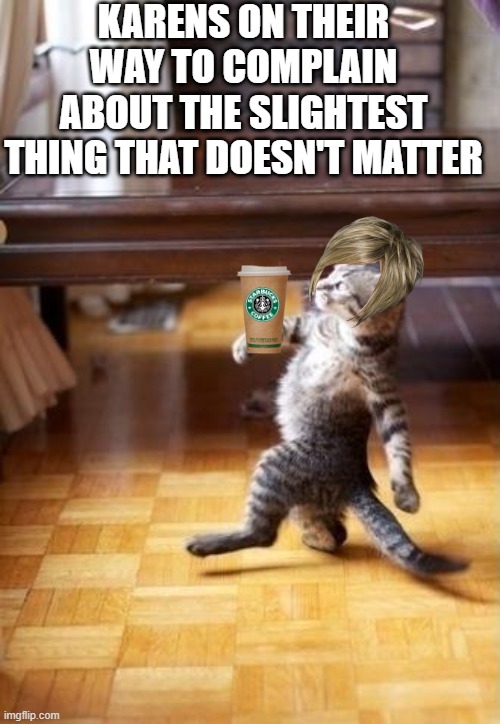 Karens | KARENS ON THEIR WAY TO COMPLAIN ABOUT THE SLIGHTEST THING THAT DOESN'T MATTER | image tagged in memes,cool cat stroll,karen | made w/ Imgflip meme maker