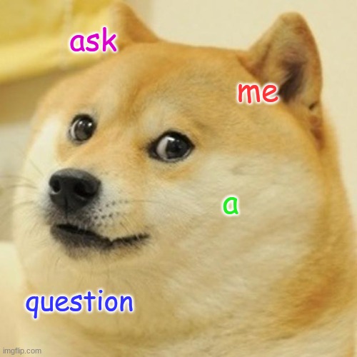 Doge | ask; me; a; question | image tagged in memes,doge | made w/ Imgflip meme maker