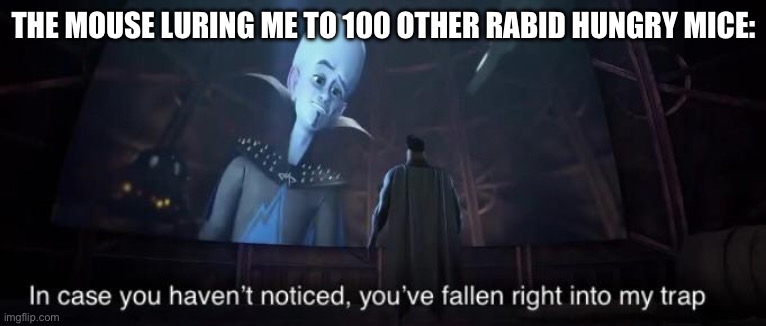 You've fallen right into my trap | THE MOUSE LURING ME TO 100 OTHER RABID HUNGRY MICE: | image tagged in you've fallen right into my trap | made w/ Imgflip meme maker