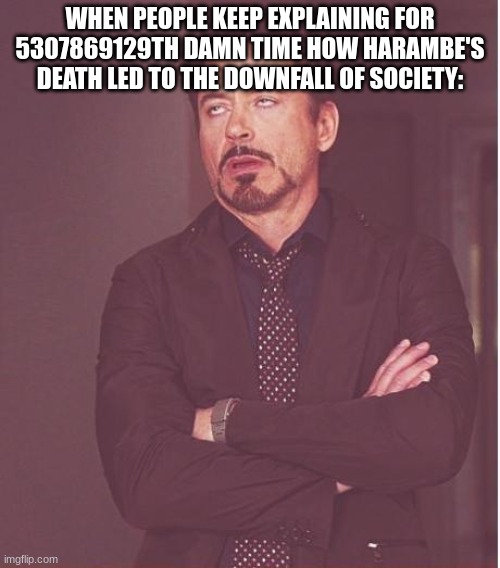 No it did not, okay? | WHEN PEOPLE KEEP EXPLAINING FOR 5307869129TH DAMN TIME HOW HARAMBE'S DEATH LED TO THE DOWNFALL OF SOCIETY: | image tagged in memes,face you make robert downey jr | made w/ Imgflip meme maker