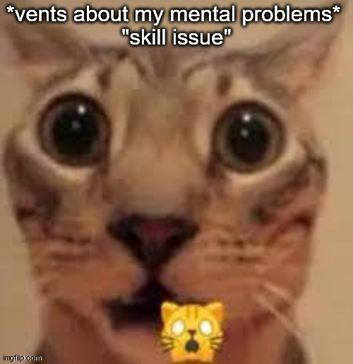 surprised cat | *vents about my mental problems* 
"skill issue" | image tagged in surprised cat | made w/ Imgflip meme maker