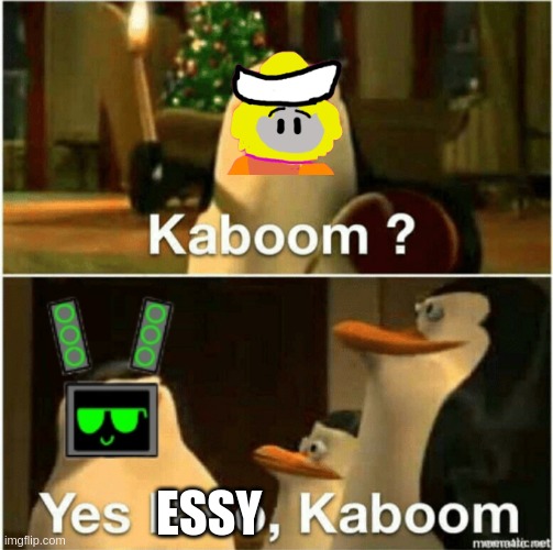 basically data and essy: | ESSY | image tagged in kaboom yes rico kaboom | made w/ Imgflip meme maker