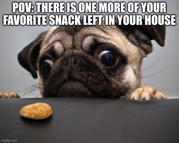 POV: THERE IS ONE MORE OF YOUR FAVORITE SNACK LEFT IN YOUR HOUSE | made w/ Imgflip meme maker