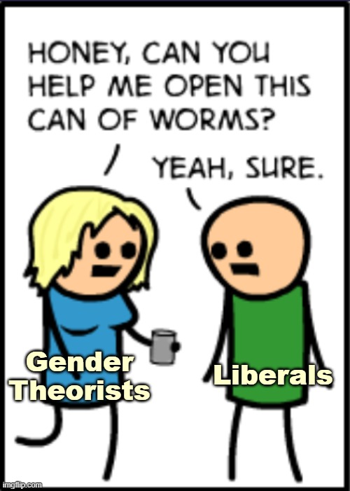 From Liberal to Progressive. That escalated quickly | Gender Theorists; Liberals | image tagged in identity politics,funny,cartoon | made w/ Imgflip meme maker