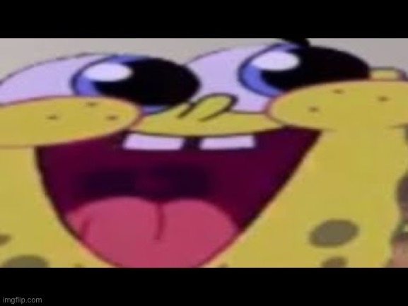 Caption this | image tagged in spongebob | made w/ Imgflip meme maker
