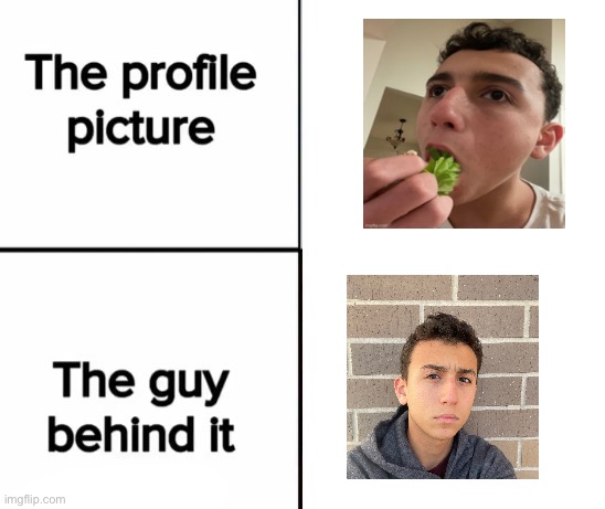 the profile picture and the guy behind it | image tagged in the profile picture and the guy behind it | made w/ Imgflip meme maker