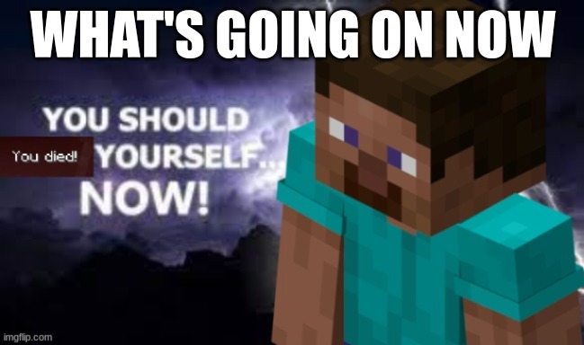 You should *you died!* yourself... NOW! | WHAT'S GOING ON NOW | image tagged in you should you died yourself now | made w/ Imgflip meme maker