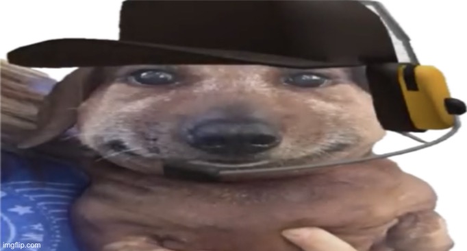 chucklenuts is a transparent template now | image tagged in transparent chucklenuts | made w/ Imgflip meme maker
