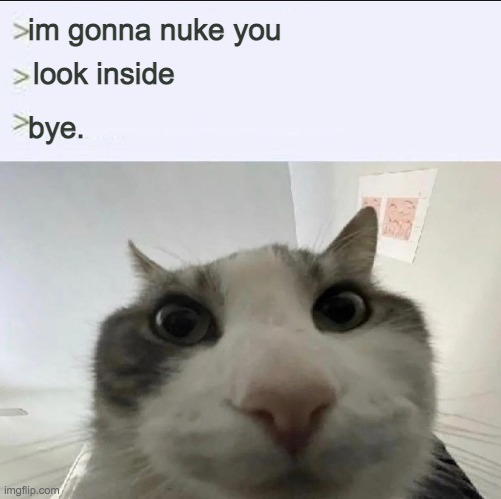 Cat looks inside | im gonna nuke you; look inside; bye. | image tagged in cat looks inside | made w/ Imgflip meme maker