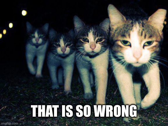 Wrong Neighboorhood Cats Meme | THAT IS SO WRONG | image tagged in memes,wrong neighboorhood cats | made w/ Imgflip meme maker